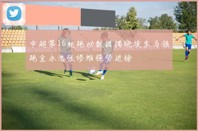 中超第16轮跑动数据揭晓埃朱马领跑金永浩张修维强势进榜